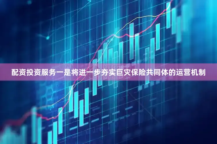 配资投资服务一是将进一步夯实巨灾保险共同体的运营机制