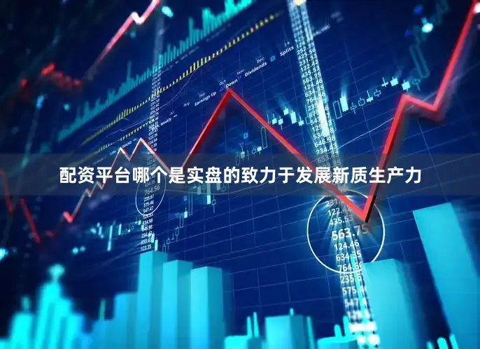 配资平台哪个是实盘的致力于发展新质生产力