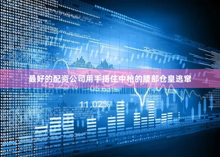 最好的配资公司用手捂住中枪的腰部仓皇逃窜