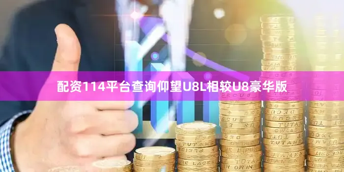 配资114平台查询仰望U8L相较U8豪华版