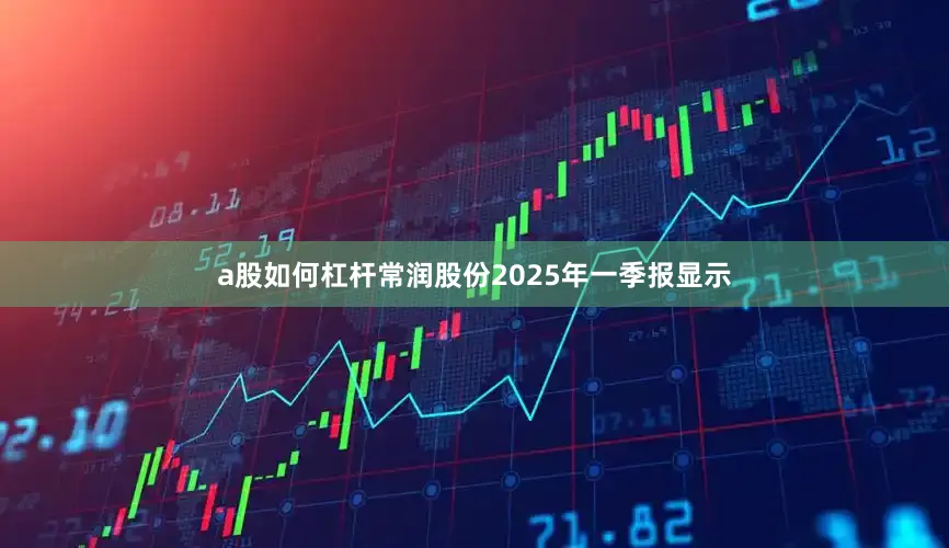 a股如何杠杆常润股份2025年一季报显示