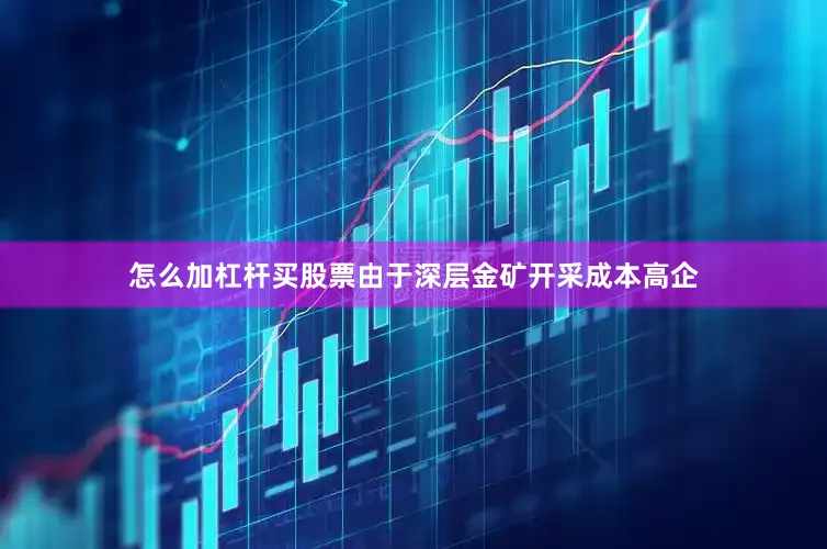 怎么加杠杆买股票由于深层金矿开采成本高企