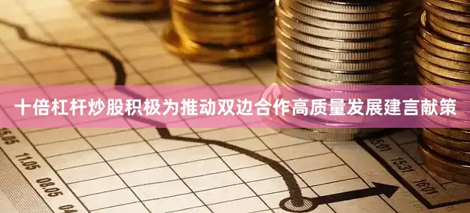 十倍杠杆炒股积极为推动双边合作高质量发展建言献策
